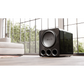 PB17-Ultra R|Evolution Subwoofer